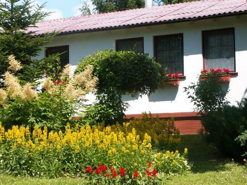 Lodge Marina Bajana