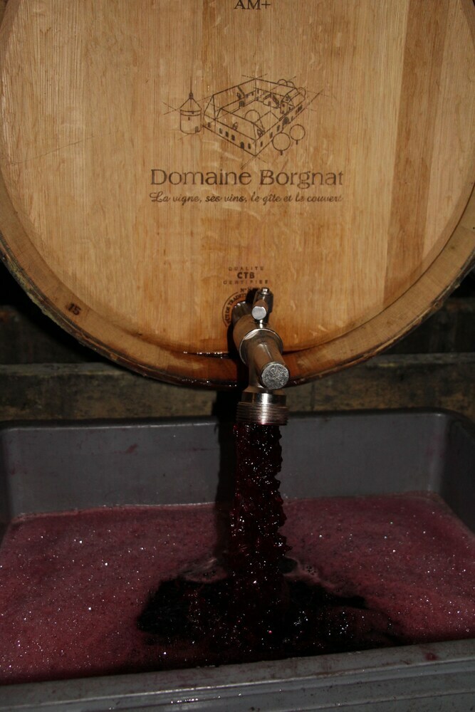 Hostal Domaine Borgnat