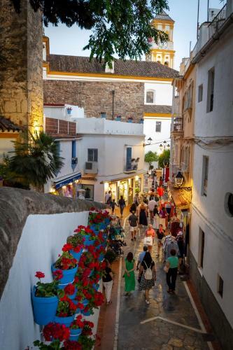 Marbella Banus Suites - Ceibo Centro Plaza Ban�s Suite Apartment