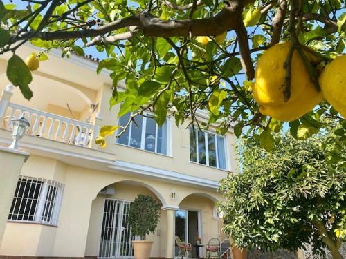 Villa Casa De Colina - Great Seaview - Marbella