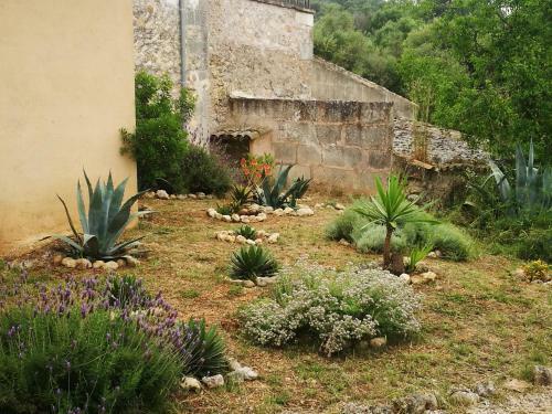 Son Vell. Mallorca. Casa Amb Piscina Ecol�gica.