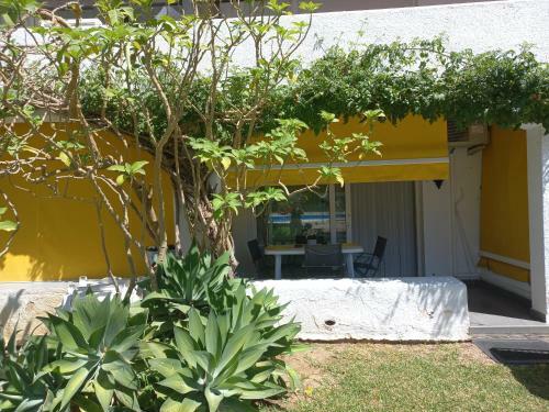 Apartamento Marbella Milla De Oro/ Golden Mille Marbella