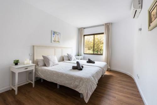 Apartamento Centro Sacio I