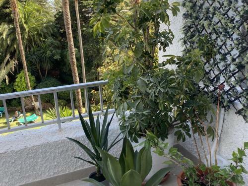 2 Apartamentos Muy Luminosos Con Grandes Terraza
