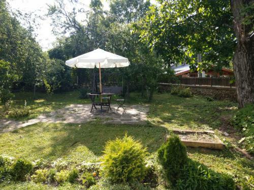 Hostal Vitanova Guest House