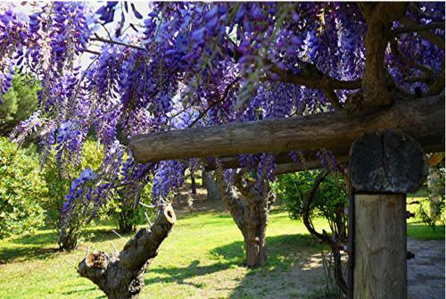 Bed & Breakfast Le� Souco