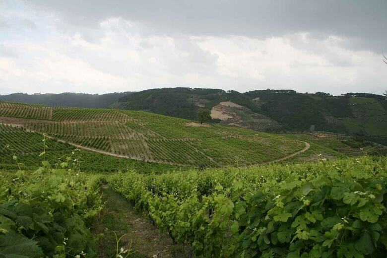Agroturismo Quinta Da Cumieira