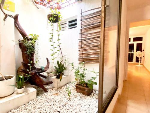 Hostal Casa Origen