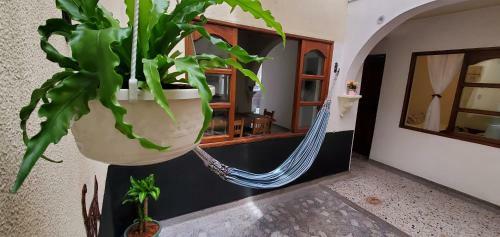 Ubicaci�n Excelente, Casa Amplia En Laureles