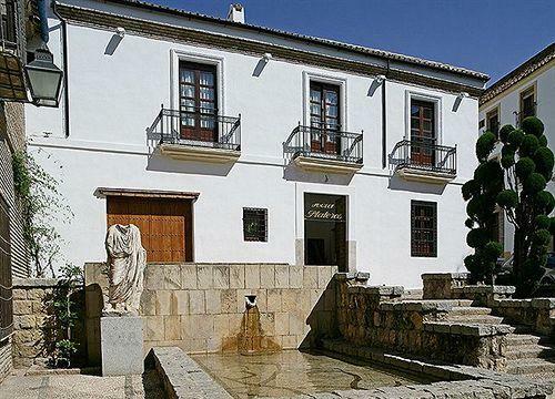 Hotel Plateros