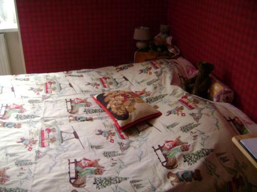 Bed & Breakfast Les Volets Bleus Alsace Vosges