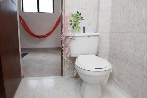 Apartamento Pleasant House 20 People In Laureles