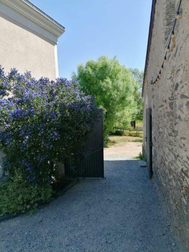 Bed & Breakfast La Petite Boire - Chambres D'h�tes