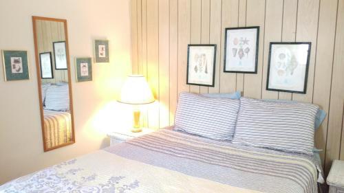 Sun N Fun Beachfront Vacation Rentals