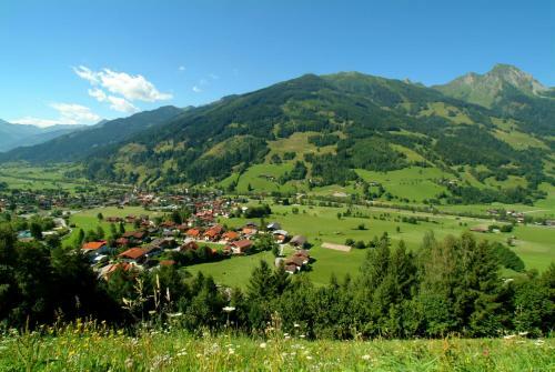 Apartamento Haus Mitterlechner