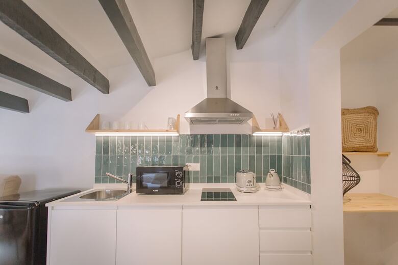 Apartamentos Alojamientos La Vila Mayor 36