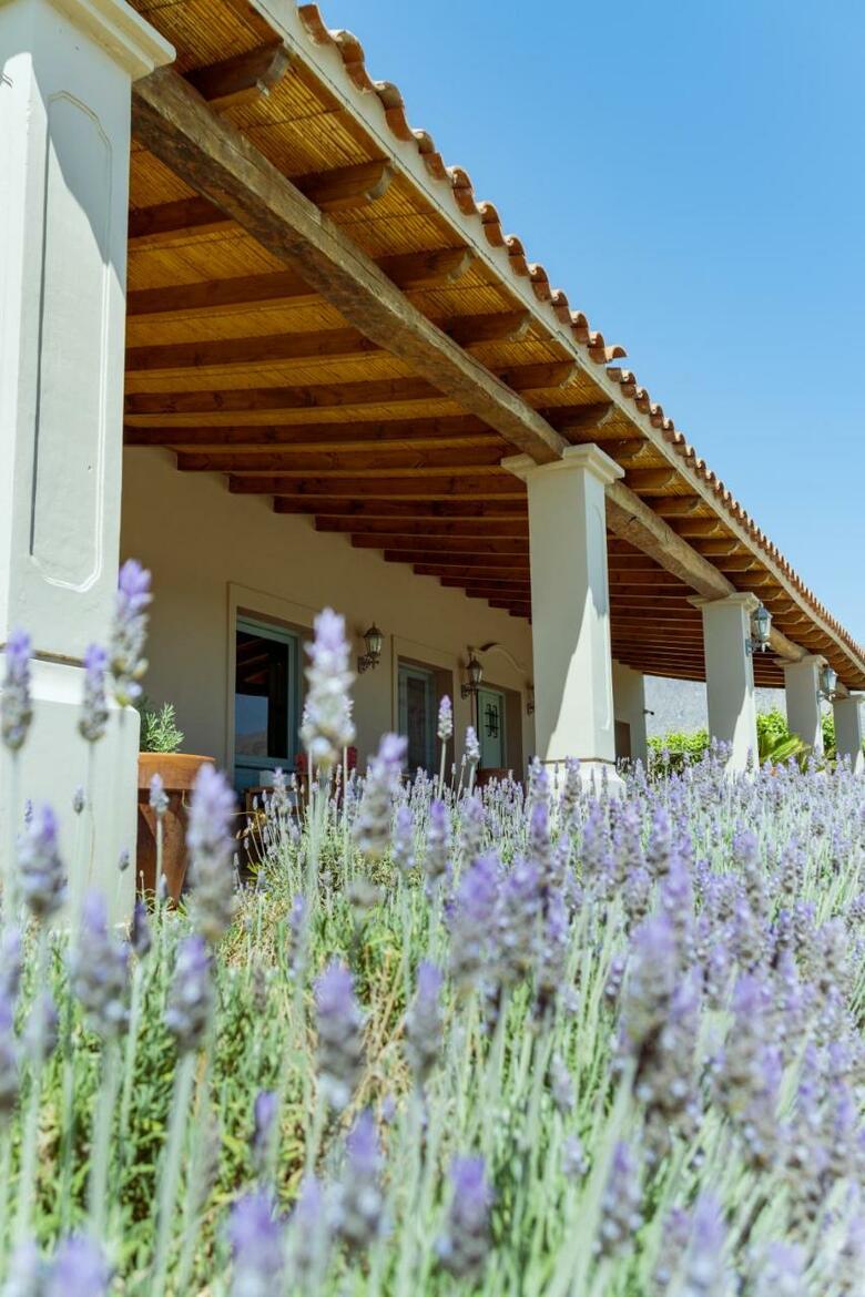 Hotel El Porvenir Wine Lodge