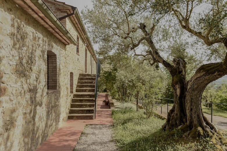 Agroturismo Il Mulino Delle Canutole