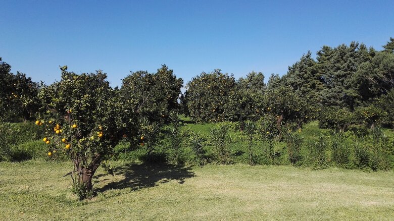 Agroturismo Tenuta San Calogero