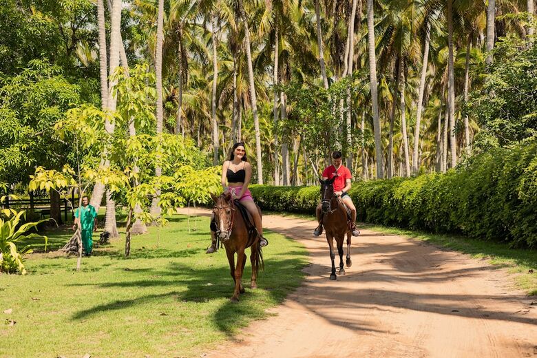 Hotel Eco Pousada Para�so Dos Coqueirais