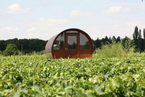 Les Sens De La Terre