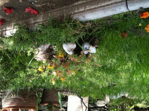 Bed & Breakfast Il Castello