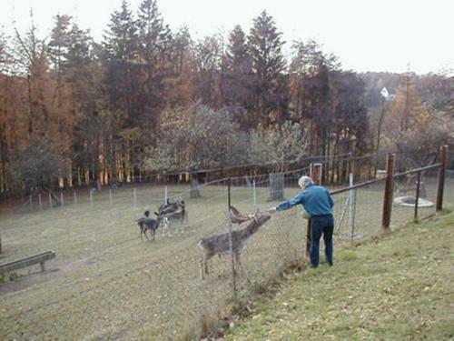 Hostal Pension Weber