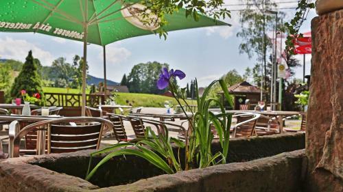 Hostal Gr�ner Hof