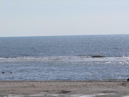 Hotel H�tel Equinoxe