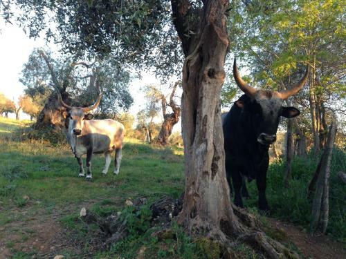 Agroturismo Tenuta La Pescaia