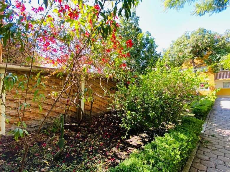 Apartamentos Estancia Centrico, Wifi, Y Servicios Incluidos