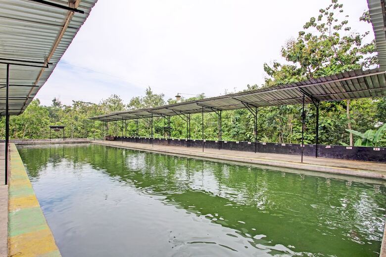 Hotel Capital O 93533 Griya Denok
