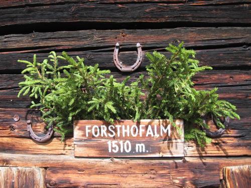 Agroturismo Pension Forsthof