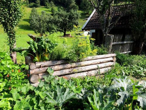 Agroturismo Pension Forsthof