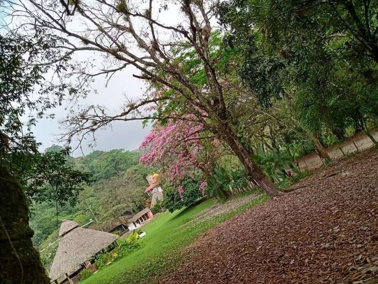 Hotel Finca Santa M�nica