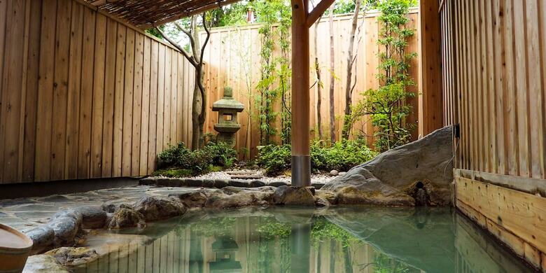 Hakone Onsen Yuyado Yamanosyou