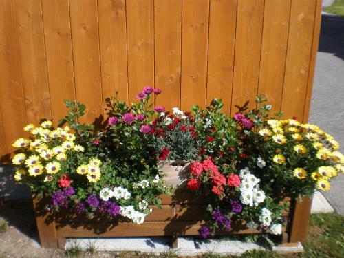 Apartamento Haus Bergfreund