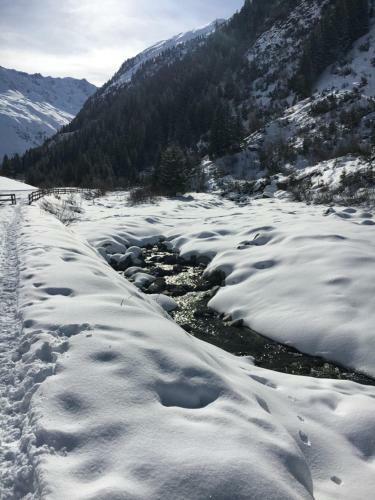 Apartamento Pension Alpin
