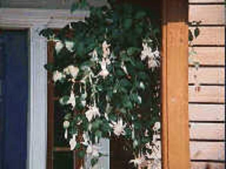 Bed & Breakfast Chesapeake Inn Of Lenox