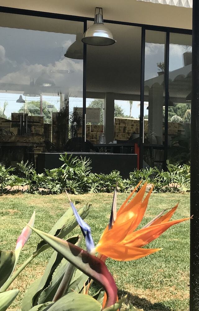 C�lido Cosmos Hotel
