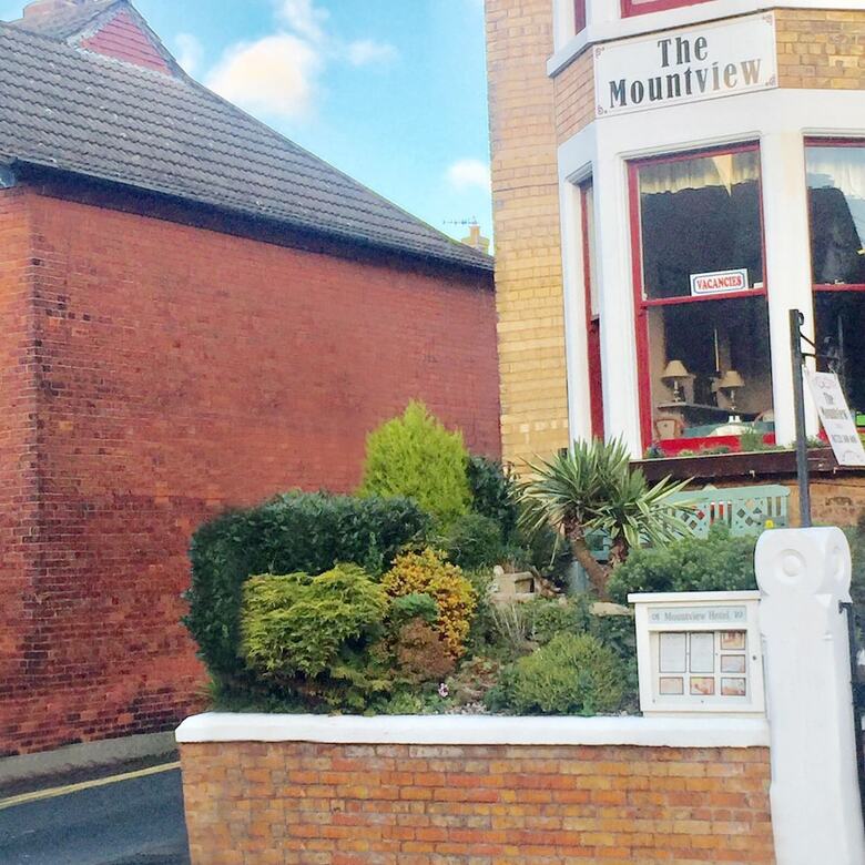 The Mountview