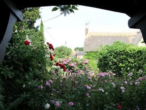 Small Cottage