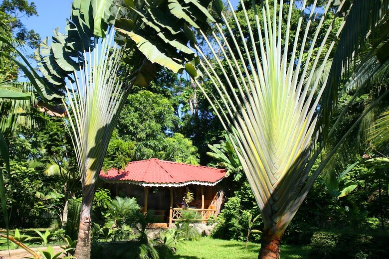 Hotel La Costa De Papito