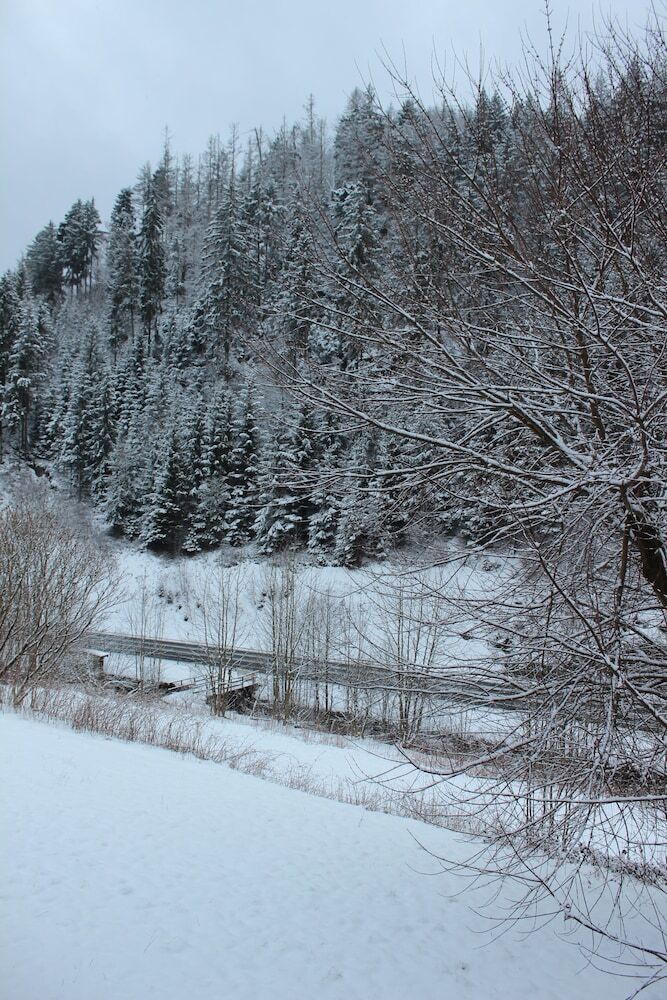 Waldhotel Pfeiferhaus