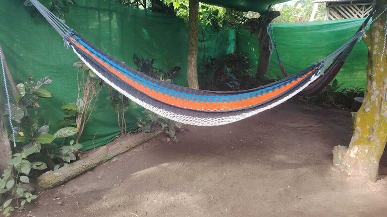 Bed & Breakfast Cabinas Tortuguero Natural
