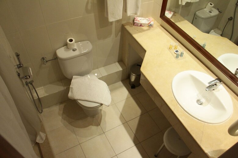 Hotel H�tel Le Consul
