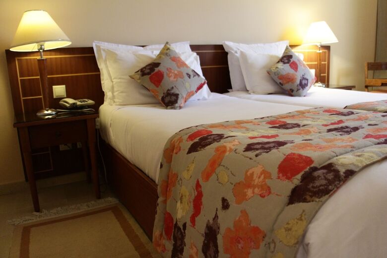 Hotel H�tel Le Consul