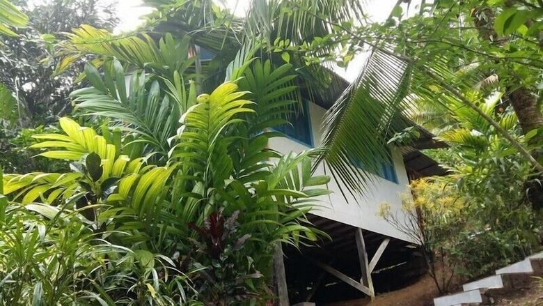 Aparthotel Bromelias Corcovado Apartments