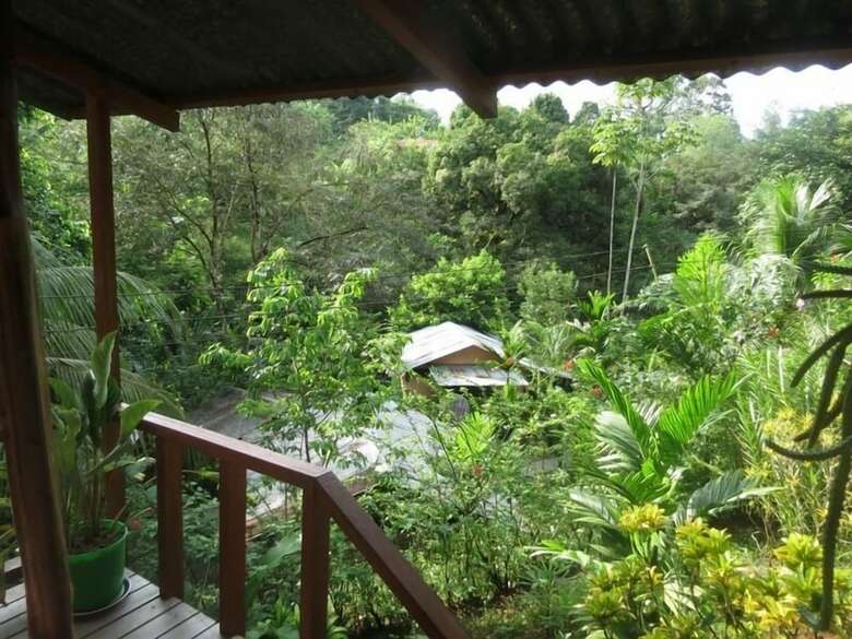 Aparthotel Bromelias Corcovado Apartments