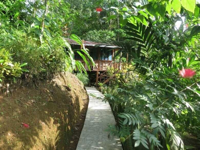 Aparthotel Bromelias Corcovado Apartments